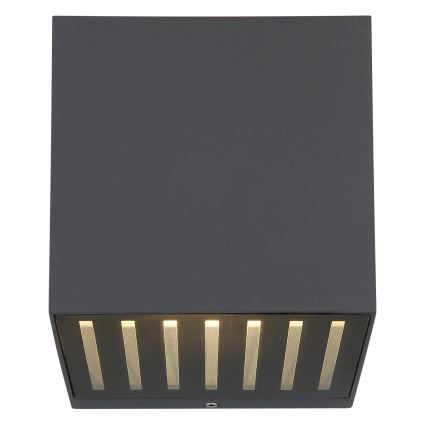 Globo - LED Venkovní nástěnné svítidlo LED/6W/230V IP54 antracit