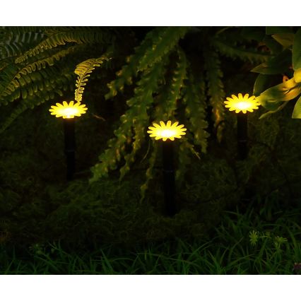Globo - LED Solární řetěz 5xLED/3V IP44 300 mAh 2,2 m květy