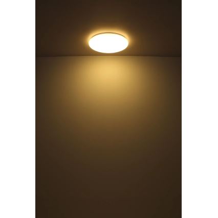 Globo - LED Stropní svítidlo LED/24W/230V pr. 49,5 cm bílá