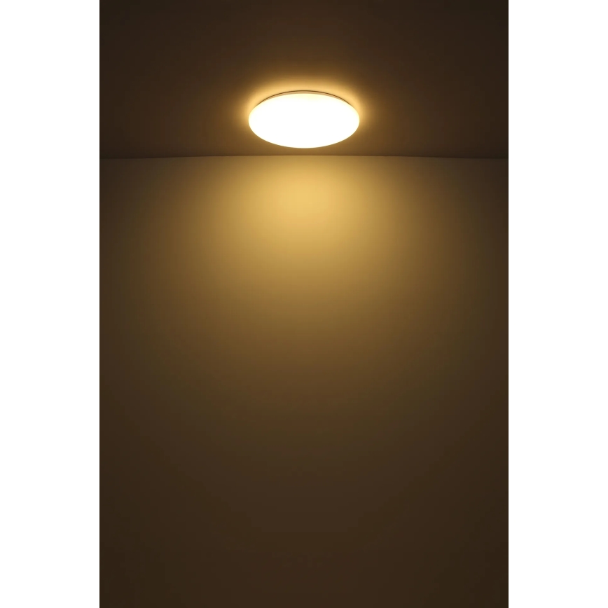 Globo - LED Stropní svítidlo LED/24W/230V pr. 49,5 cm bílá