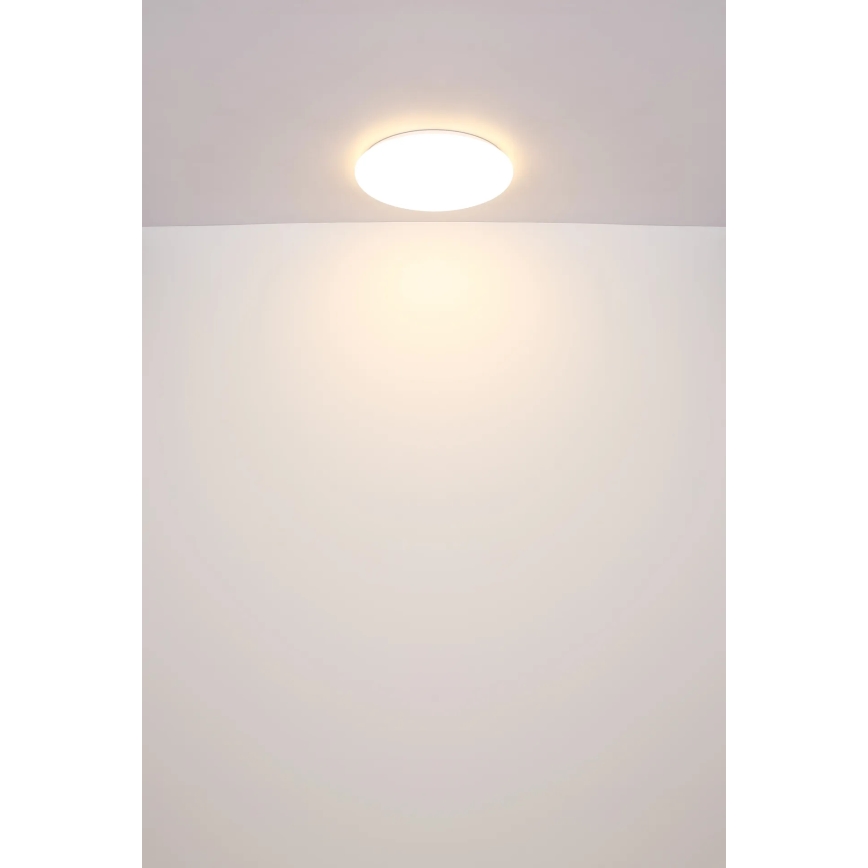 Globo - LED Stropní svítidlo LED/24W/230V pr. 49,5 cm bílá