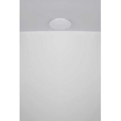 Globo - LED Stropní svítidlo LED/24W/230V pr. 49,5 cm bílá