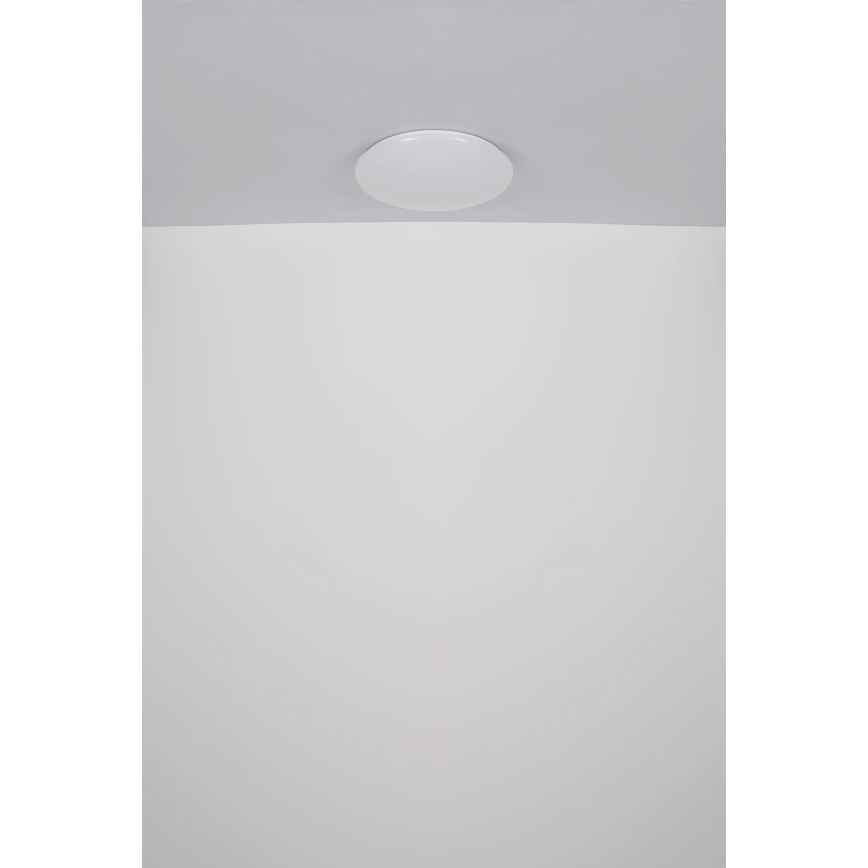 Globo - LED Stropní svítidlo LED/24W/230V pr. 49,5 cm bílá
