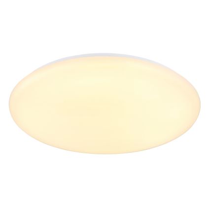 Globo - LED Stropní svítidlo LED/24W/230V pr. 49,5 cm bílá