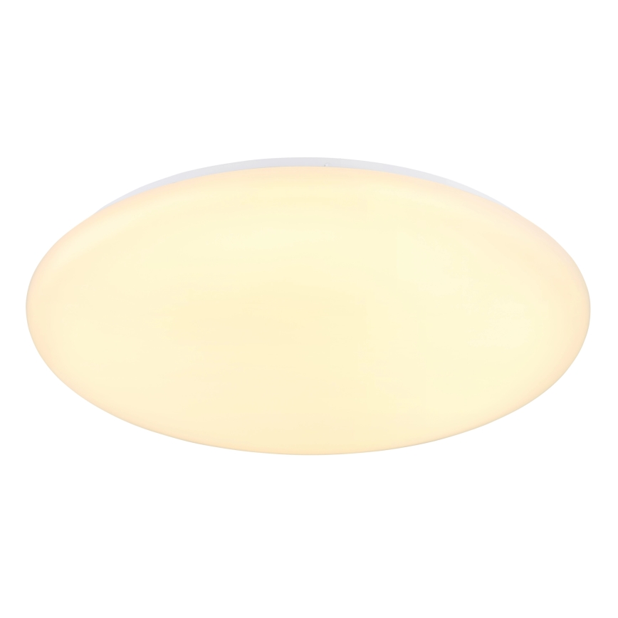 Globo - LED Stropní svítidlo LED/24W/230V pr. 49,5 cm bílá