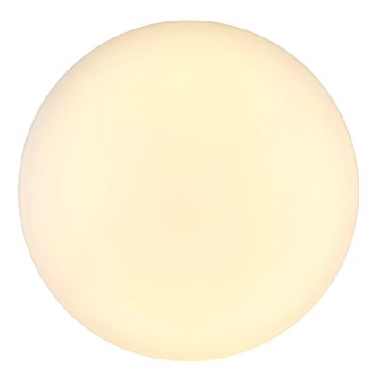 Globo - LED Stropní svítidlo LED/24W/230V pr. 49,5 cm bílá