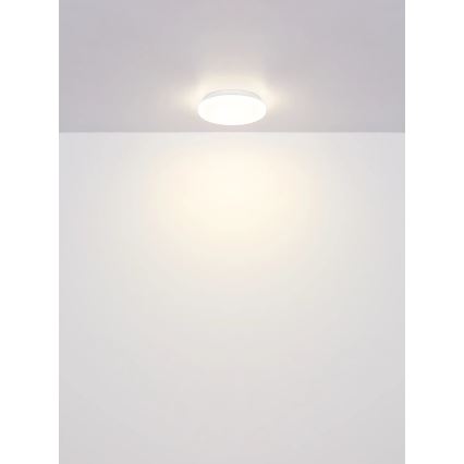 Globo - LED Stropní svítidlo LED/8W/230V 4000K pr. 55 cm