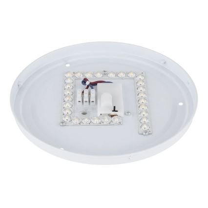 Globo - LED Stropní svítidlo LED/12W/230V 3000/4200/6500K pr. 26 cm