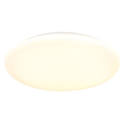 Globo - LED Stropní svítidlo LED/24W/230V 3000/4200/6500K pr. 40 cm
