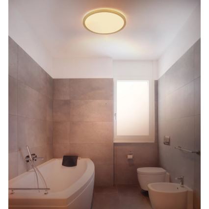 Globo - LED Stmívatelné koupelnové stropní svítidlo LED/18W/230V 3000K IP44 pr. 29,4 cm mosaz