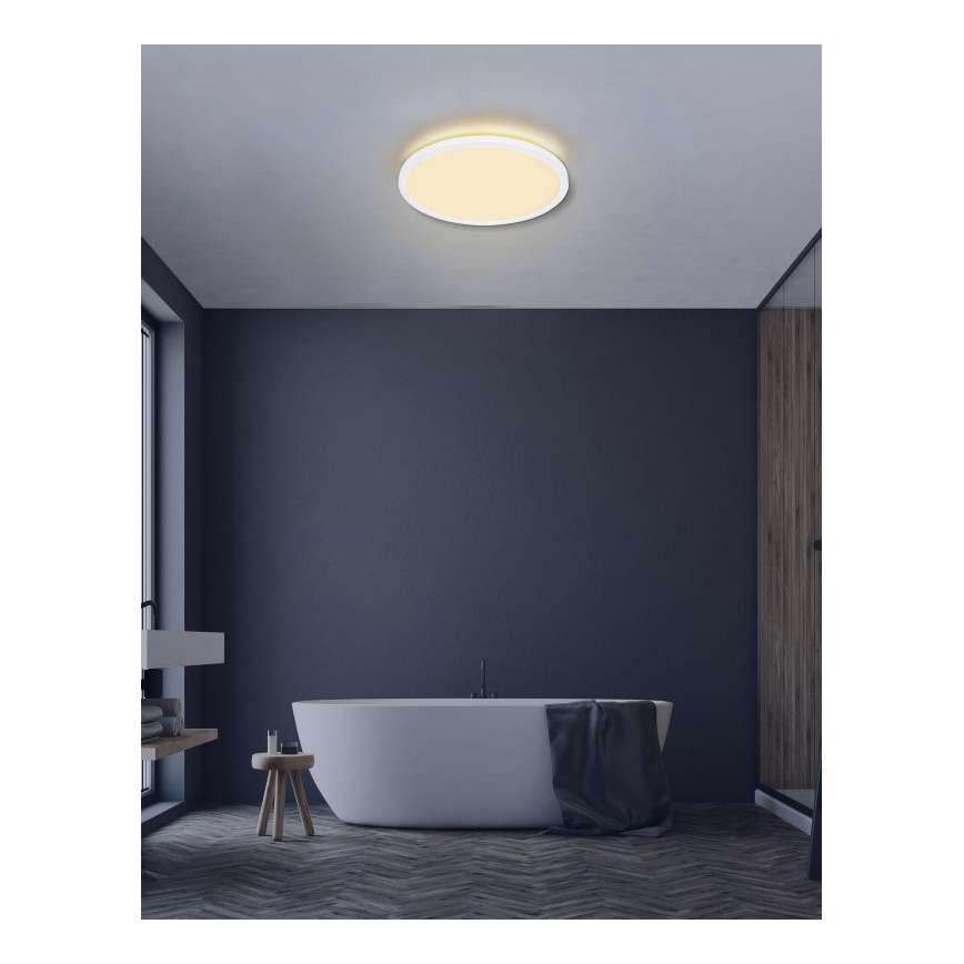 Globo - LED Stmívatelné koupelnové stropní svítidlo LED/24W/230V pr. 42 cm IP44 bílá