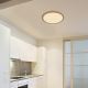 Globo - LED Stmívatelné koupelnové stropní svítidlo LED/24W/230V pr. 42 cm IP44 hnědá