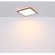 Globo - LED Stmívatelné koupelnové stropní svítidlo LED/18W/230V 29,4x29,4 cm IP44 černá