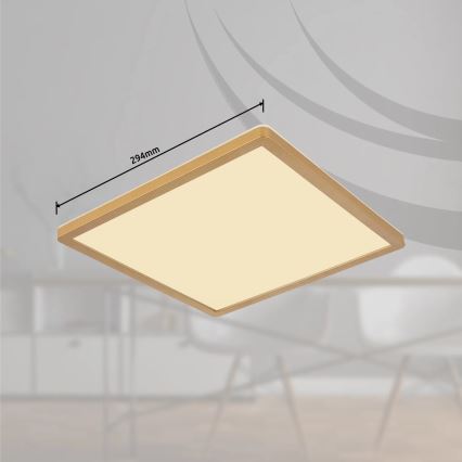 Globo - LED Stmívatelné koupelnové stropní svítidlo LED/18W/230V 3000K IP44 29,4x29,4 cm mosaz