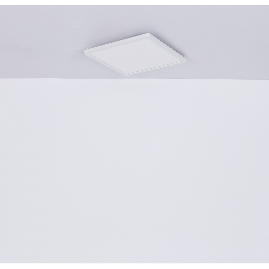Globo - LED Stmívatelné koupelnové stropní svítidlo LED/18W/230V 29,4x29,4 cm IP44 bílá