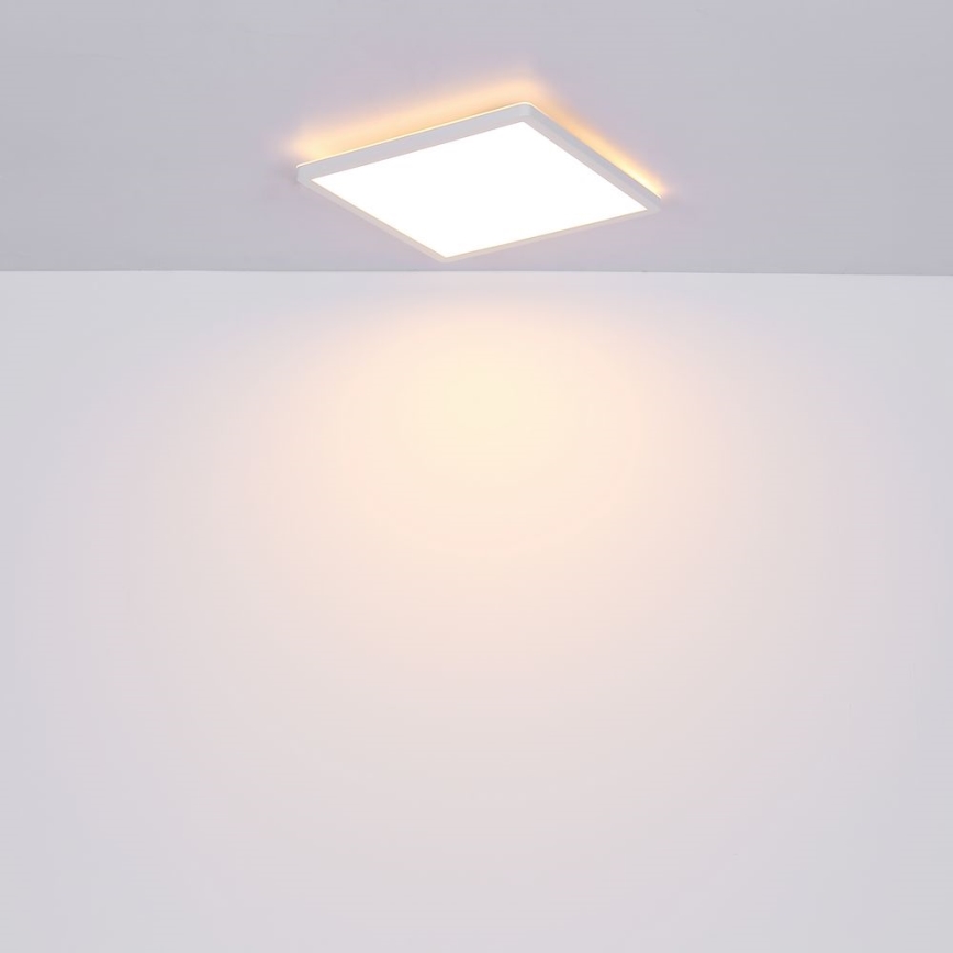 Globo - LED Stmívatelné koupelnové stropní svítidlo LED/24W/230V 42x42 cm IP44 bílá