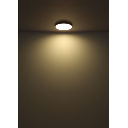 Globo - LED Stropní svítidlo LED/15W/230V 4000K pr. 23 cm černá