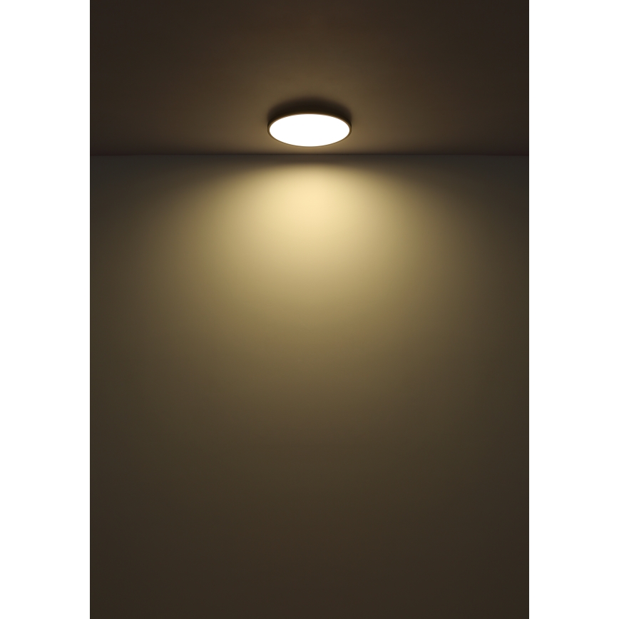 Globo - LED Stropní svítidlo LED/15W/230V 4000K pr. 23 cm černá