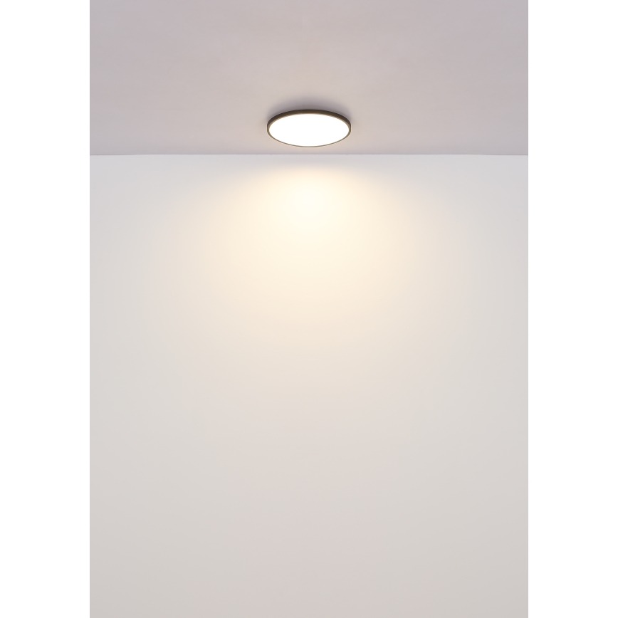 Globo - LED Stropní svítidlo LED/15W/230V 4000K pr. 23 cm černá