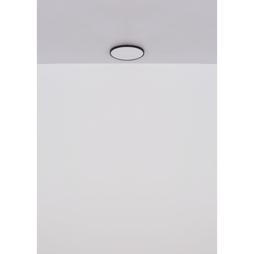 Globo - LED Stropní svítidlo LED/15W/230V 4000K pr. 23 cm černá