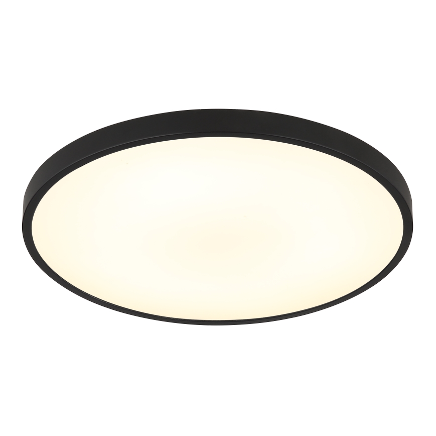 Globo - LED Stropní svítidlo LED/15W/230V 4000K pr. 23 cm černá