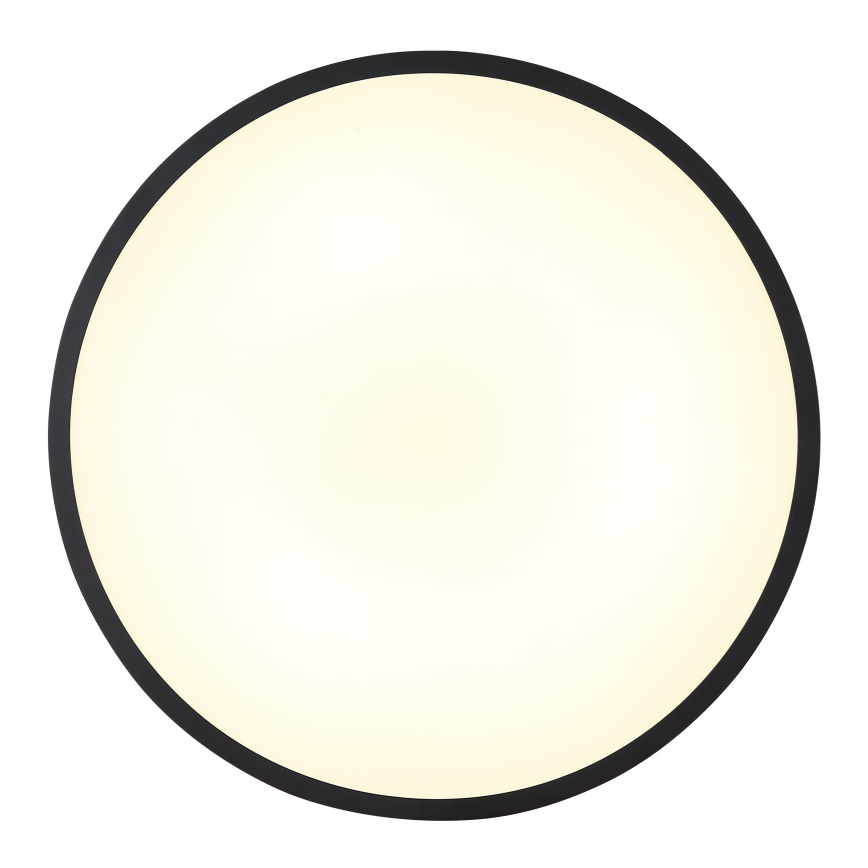 Globo - LED Stropní svítidlo LED/15W/230V 4000K pr. 23 cm černá
