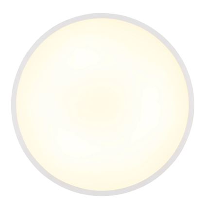Globo - LED Stropní svítidlo LED/20W/230V 4000K pr. 30 cm bílá