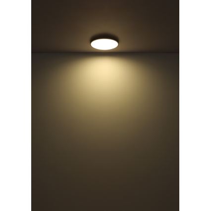 Globo - LED Stropní svítidlo LED/32W/230V 4000K pr. 40 cm černá