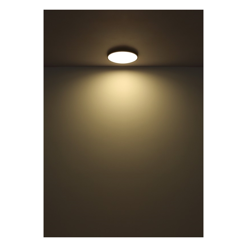 Globo - LED Stropní svítidlo LED/32W/230V 4000K pr. 40 cm černá