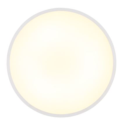 Globo - LED Stropní svítidlo LED/32W/230V 4000K pr. 40 cm bílá