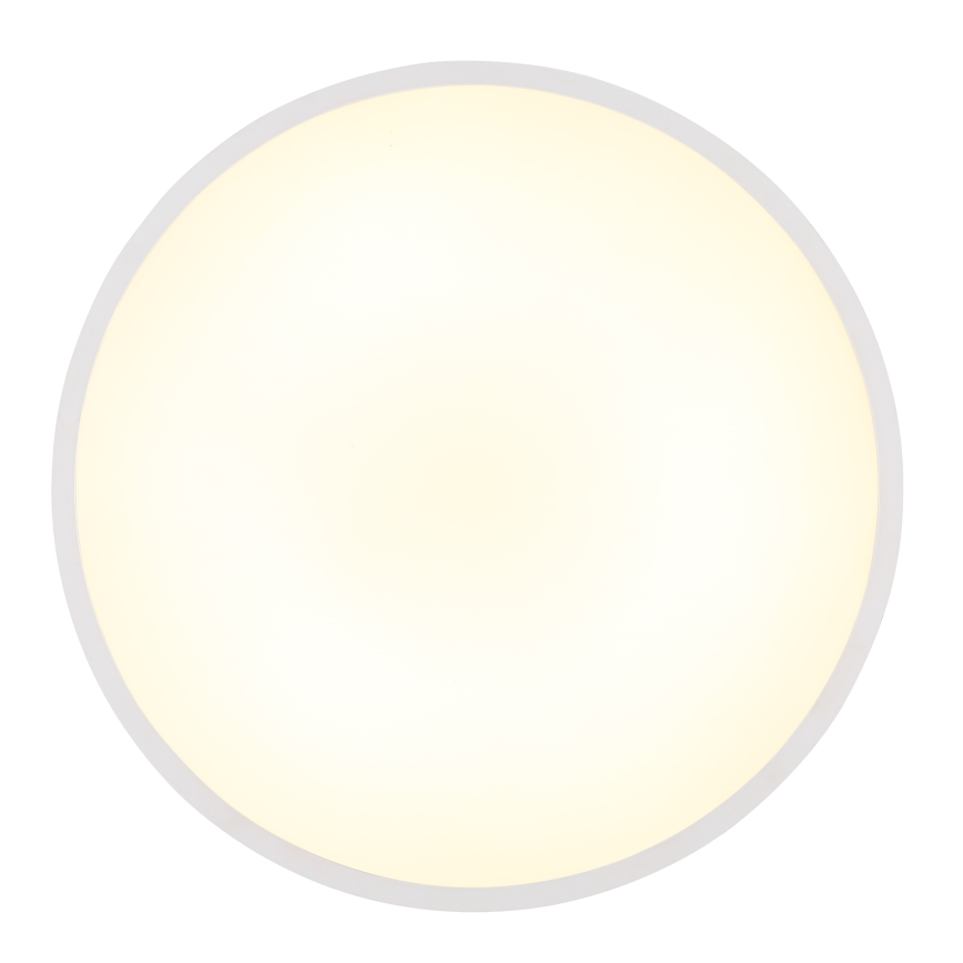 Globo - LED Stropní svítidlo LED/32W/230V 4000K pr. 40 cm bílá