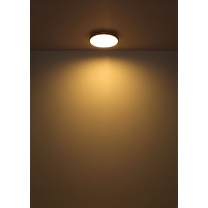 Globo - LED Stropní svítidlo LED/18W/230V 3000K pr. 35 cm černá