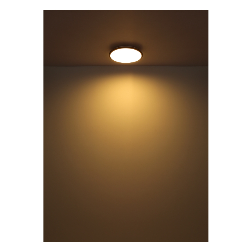Globo - LED Stropní svítidlo LED/18W/230V 3000K pr. 35 cm černá
