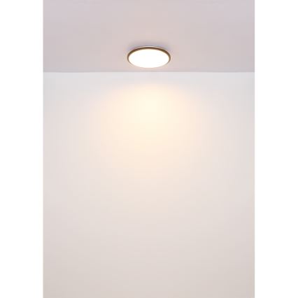 Globo - LED Stropní svítidlo LED/18W/230V 3000K pr. 35 cm černá