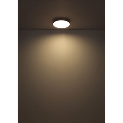 Globo - LED Stropní svítidlo LED/18W/230V 4000K pr. 35 cm černá