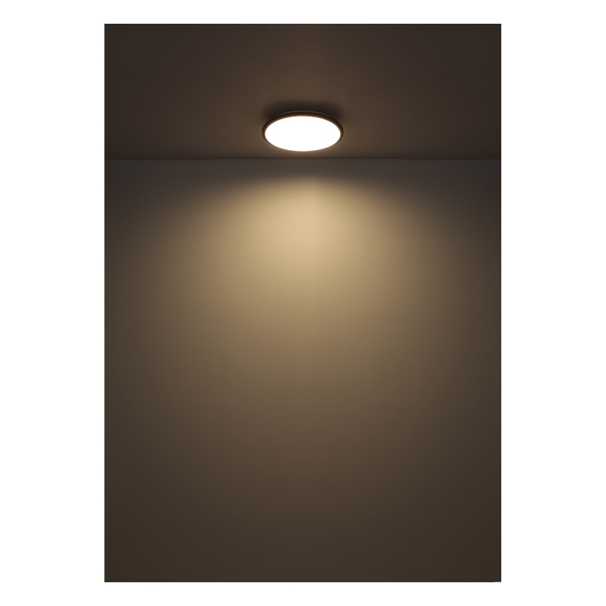 Globo - LED Stropní svítidlo LED/18W/230V 4000K pr. 35 cm černá