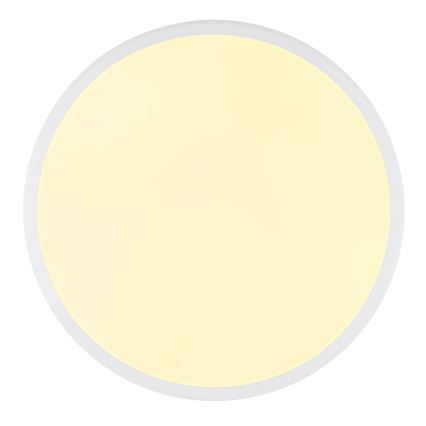 Globo - LED Stropní svítidlo LED/18W/230V 3000K pr. 35 cm bílá