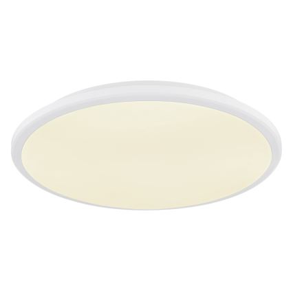 Globo - LED Stropní svítidlo LED/18W/230V 4000K pr. 35 cm bílá