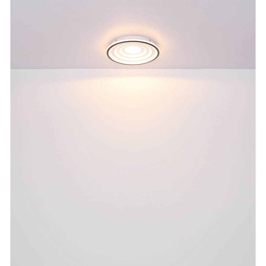 Globo - LED Stropní svítidlo LED/24W/230V