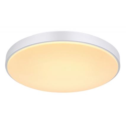 Globo - LED Stmívatelné stropní svítidlo LED/24W/230V + dálkové ovládání