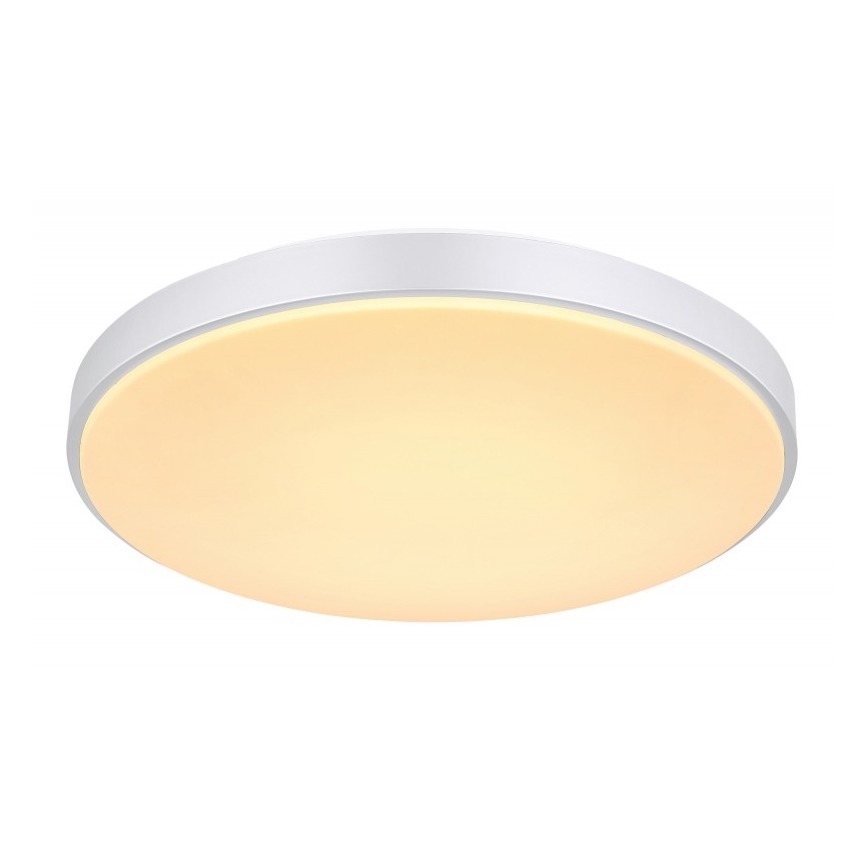 Globo - LED Stmívatelné stropní svítidlo LED/24W/230V + dálkové ovládání