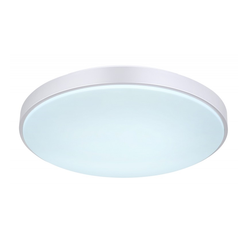 Globo - LED Stmívatelné stropní svítidlo LED/24W/230V + dálkové ovládání