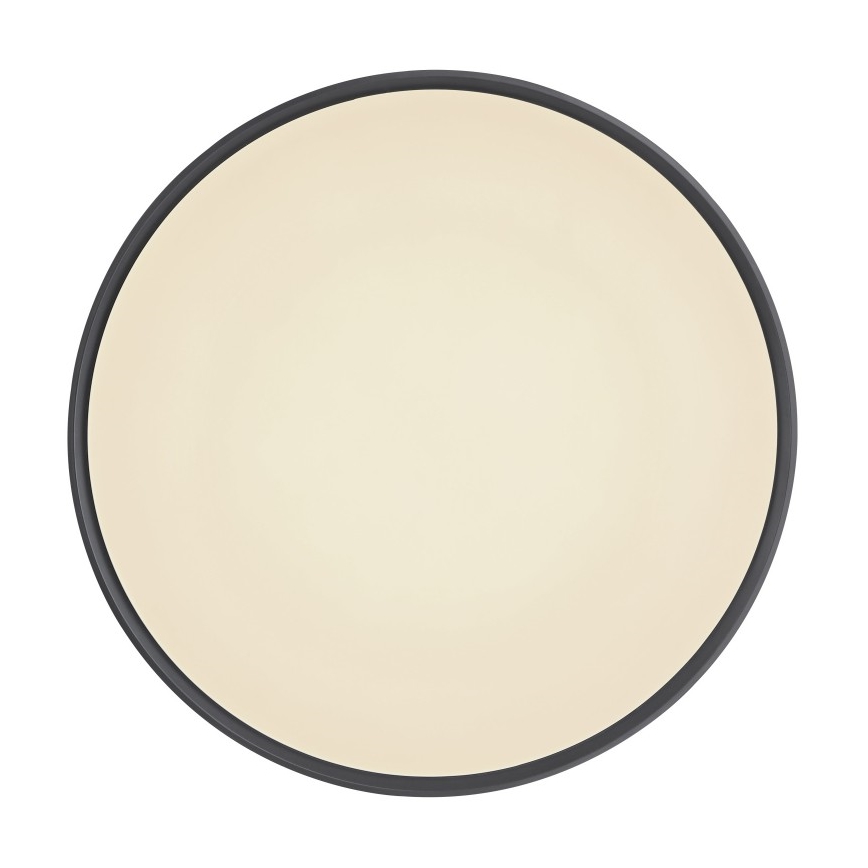 Globo - LED Stmívatelné stropní svítidlo LED/24W/230V + dálkové ovládání