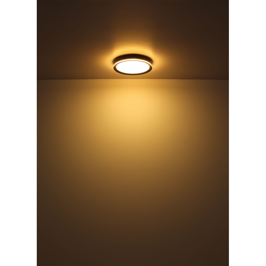 Globo - LED Stropní svítidlo LED/58W/230V pr. 50 cm