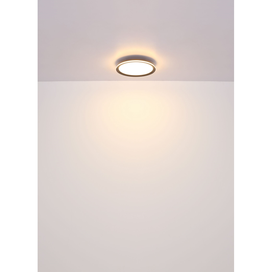 Globo - LED Stropní svítidlo LED/58W/230V pr. 50 cm