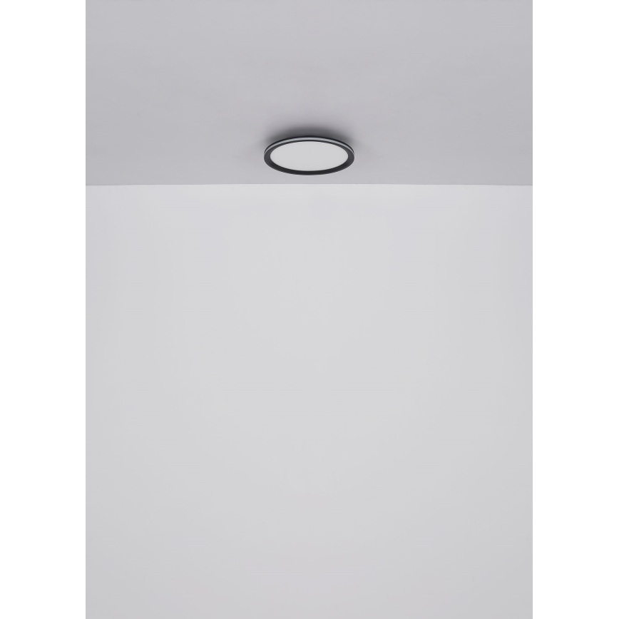 Globo - LED Stropní svítidlo LED/58W/230V pr. 50 cm