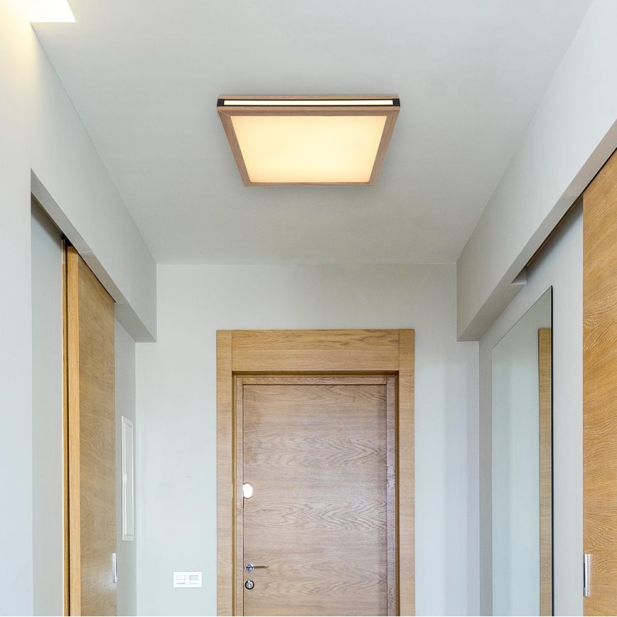 Globo - LED Stropní svítidlo LED/24W/230V 45x45 cm