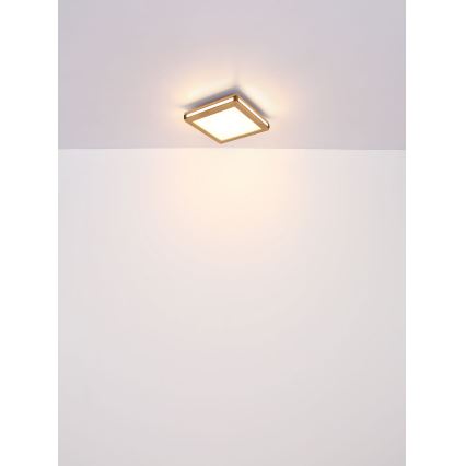 Globo - LED Stropní svítidlo LED/24W/230V 45x45 cm