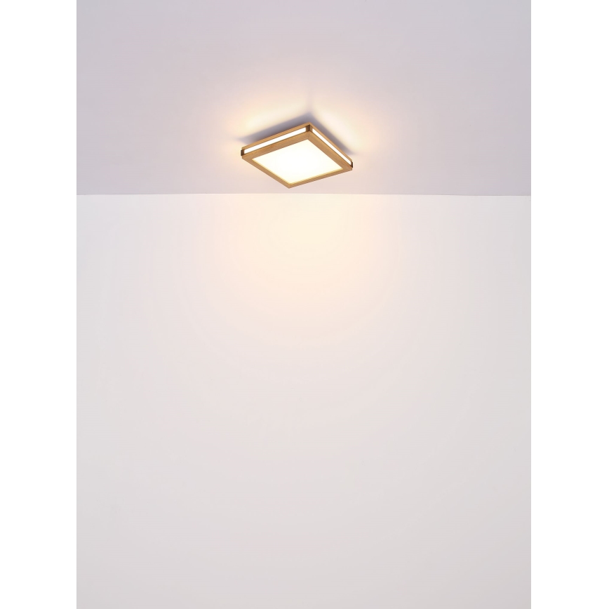 Globo - LED Stropní svítidlo LED/24W/230V 45x45 cm