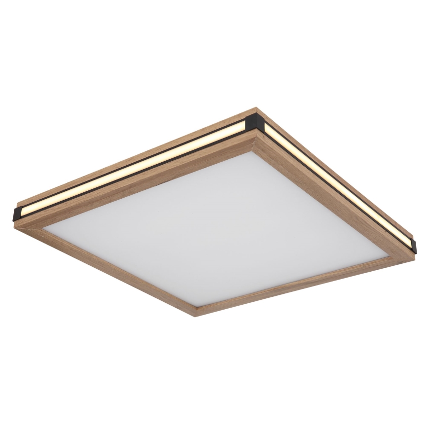 Globo - LED Stropní svítidlo LED/24W/230V 45x45 cm